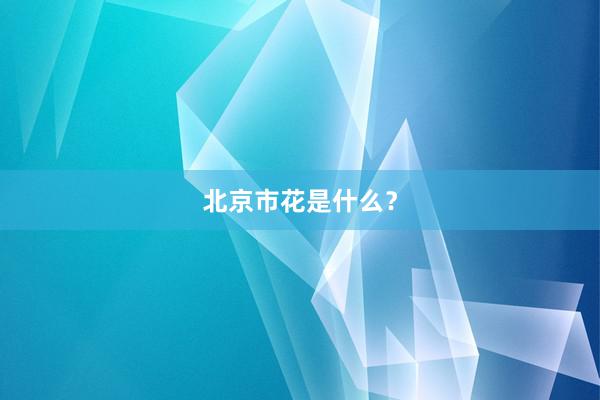 北京市花是什么？